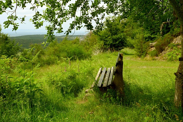 意大利女排3-0美国，晋级四强，队员疯狂庆祝，埃格努20分得分王